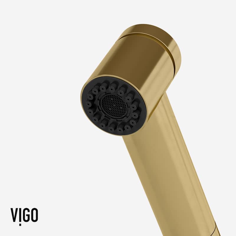 VIGO Branson 9" H Single Handle Pull-Out Sprayer Kitchen Faucet
