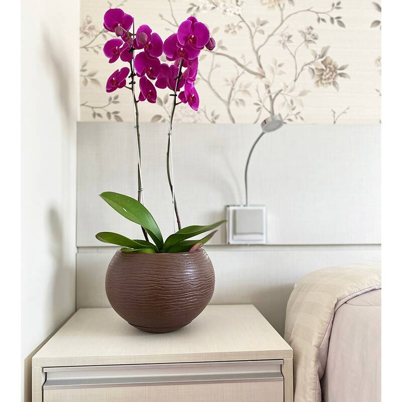 Floridis Florence Planter