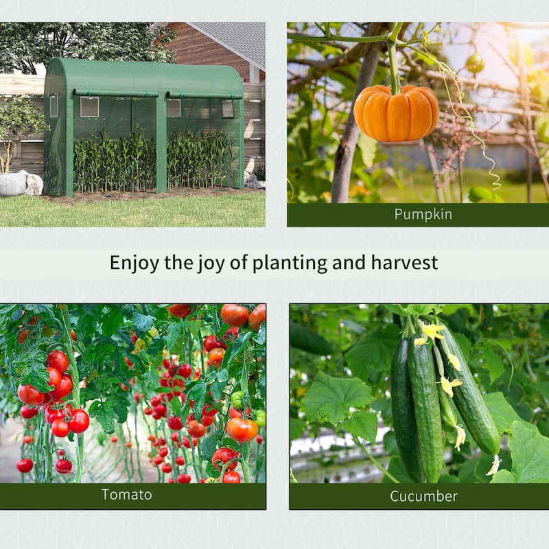 Outdoor Garden Greenhouse