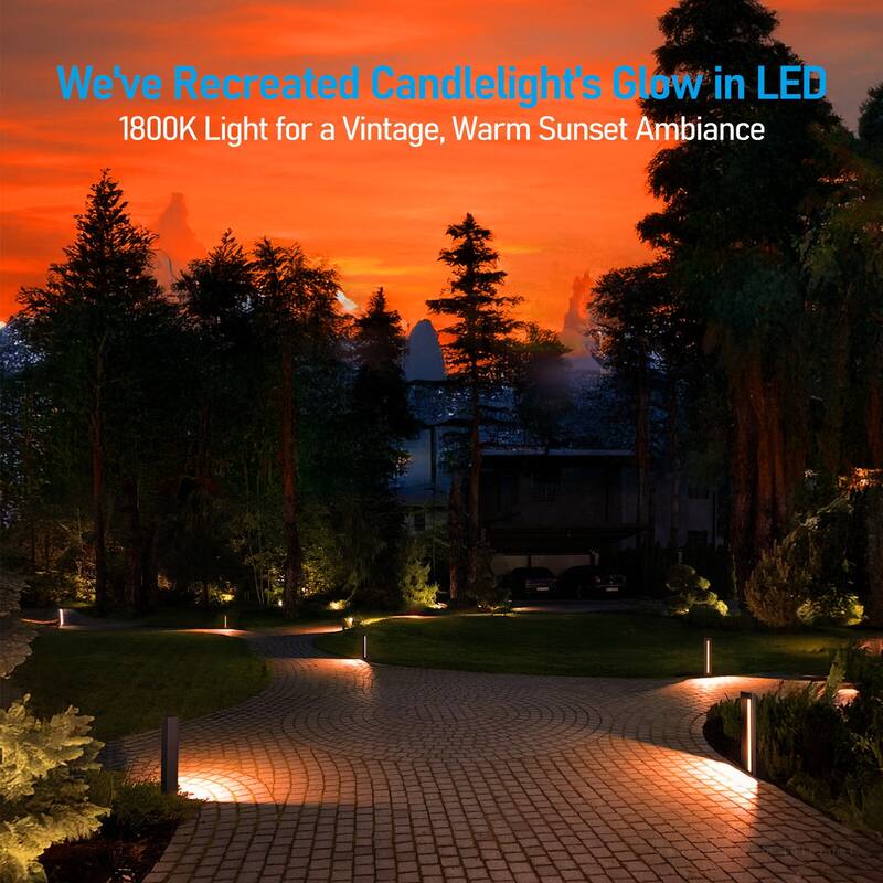 5CCT Low Voltage LED Path Lights, 7W 12-24V Landscape Lighting