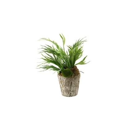 HomeStock Mini Staghorn Fern in Weathered Oak Look Cement Planter - Unique Faux Fern for Natural Vibes - 21