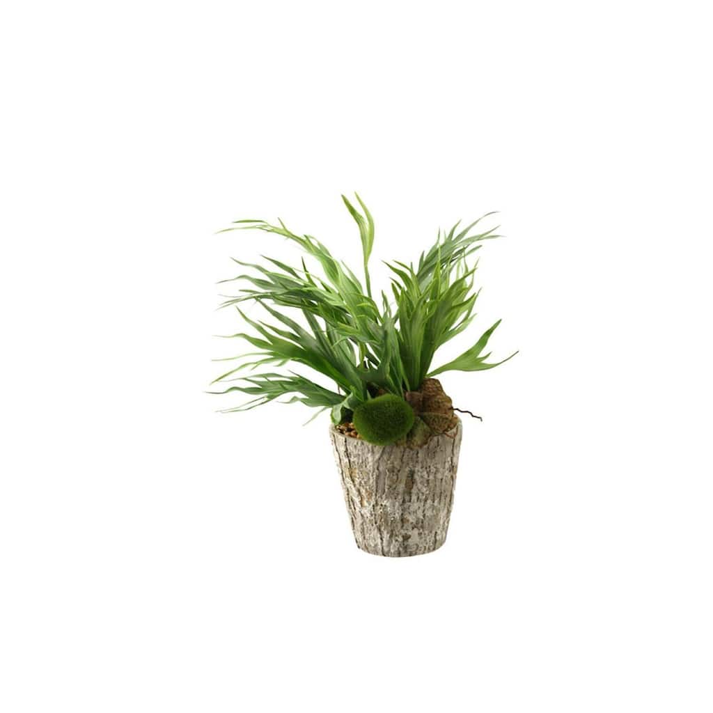 HomeStock Mini Staghorn Fern in Weathered Oak Look Cement Planter - Unique Faux Fern for Natural Vibes - 21