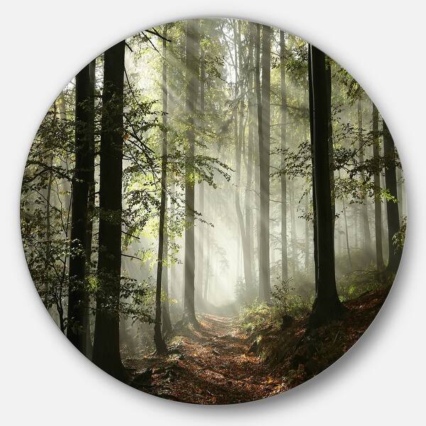 Designart 'Light in Dense Fall Forest with Fog' Landscape Large Circle ...