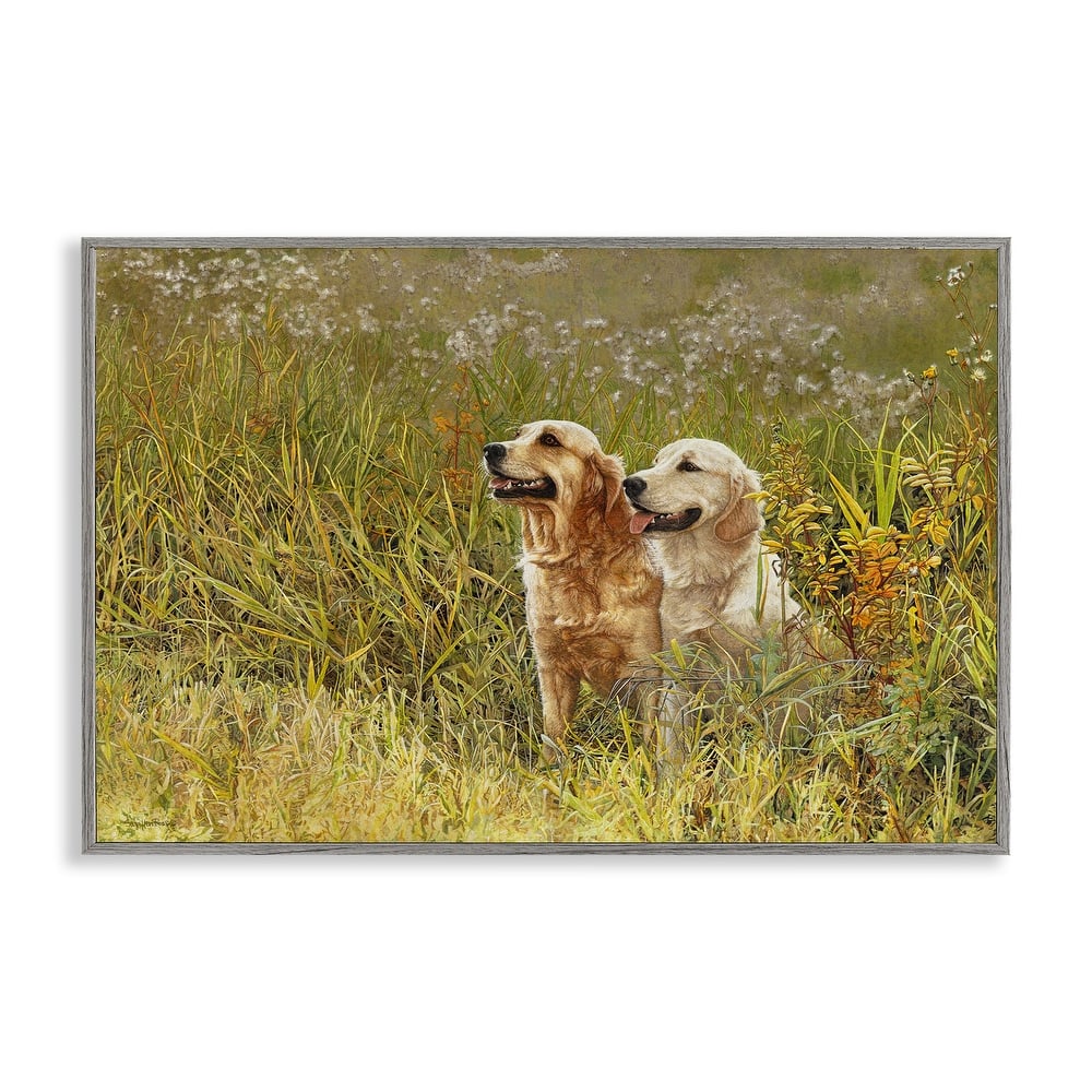 Stupell Happy Dogs Field Day Framed Giclee Art Design By Sueellen Ross