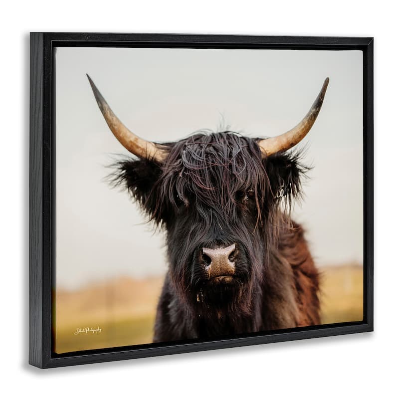 Stupell Black Highland Cow Portrait Framed Floater Canvas Wall Art Design by Dakota Diener