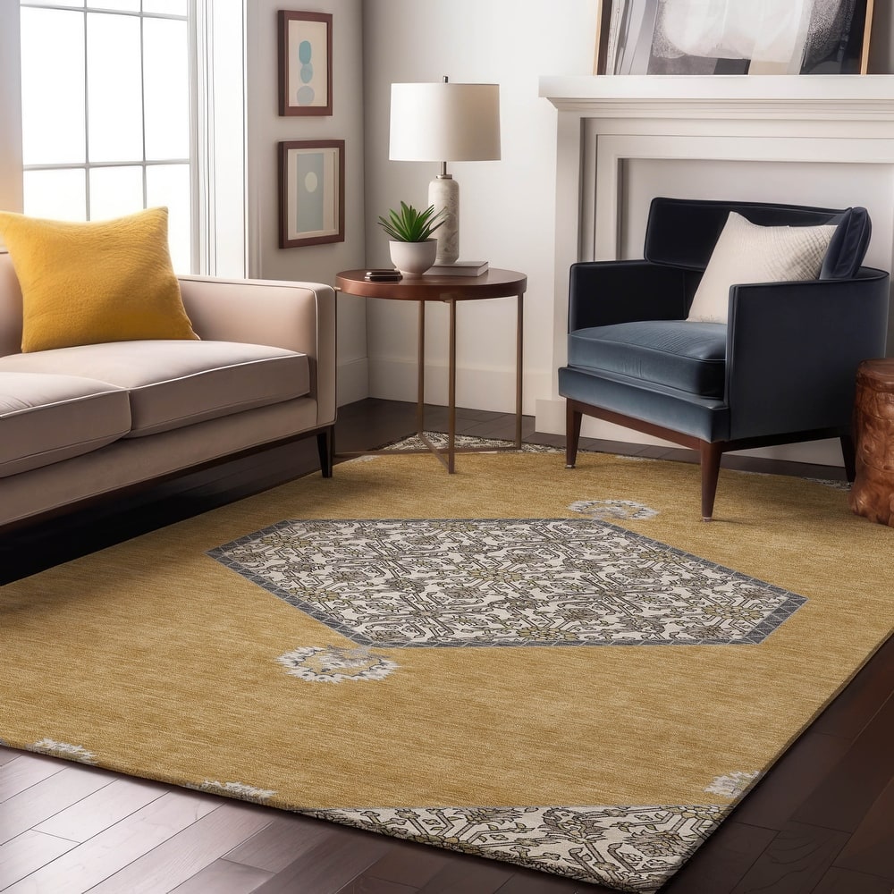 Premium Washable Super Soft Traditional Global Mayfield Rug
