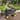 Folding Garden Dump Truck with Steel Frame and Pneumatic Tires