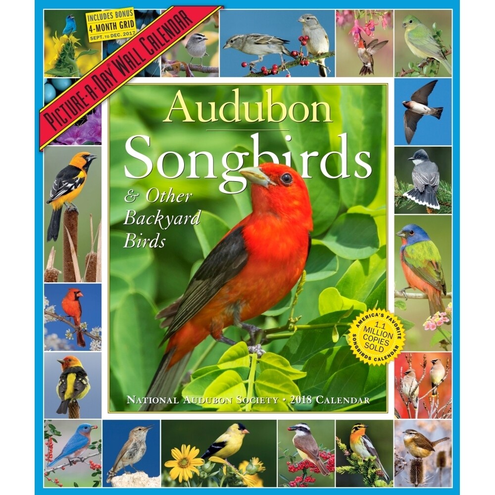 Shop 365 Audubon Songbirds Wall Calendar Birds By Workman Publishing Overstock 18142878