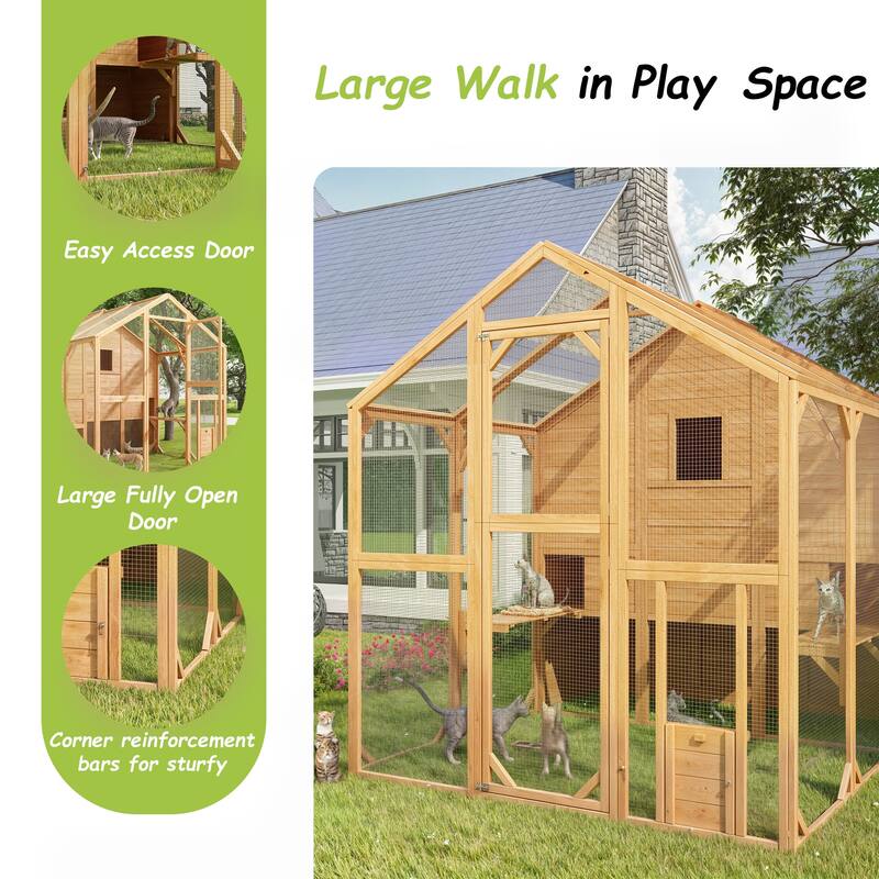 Cat Catio Window Box for 6 to 8 Kittens, Lockable House with 5 Windows