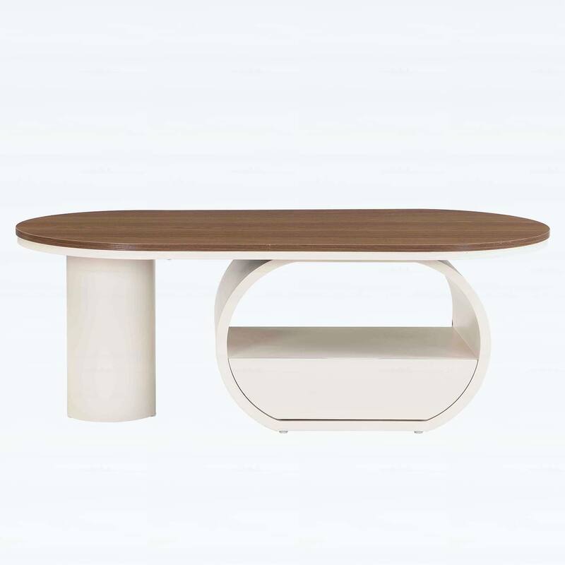 Modern Oval Coffee Table with Storage,Metal Frame for Elegant Living Room Decor