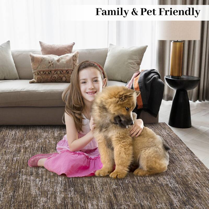 Rugs for Living Room Modern Abstract Area Rug Non-Slip Low Pile Accent Rug Soft Foldable Solid Rug
