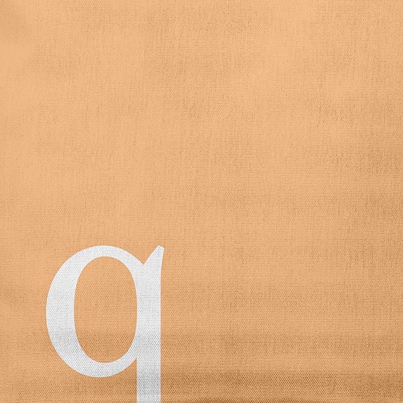 Modern Monogram Decorative Throw Pillow