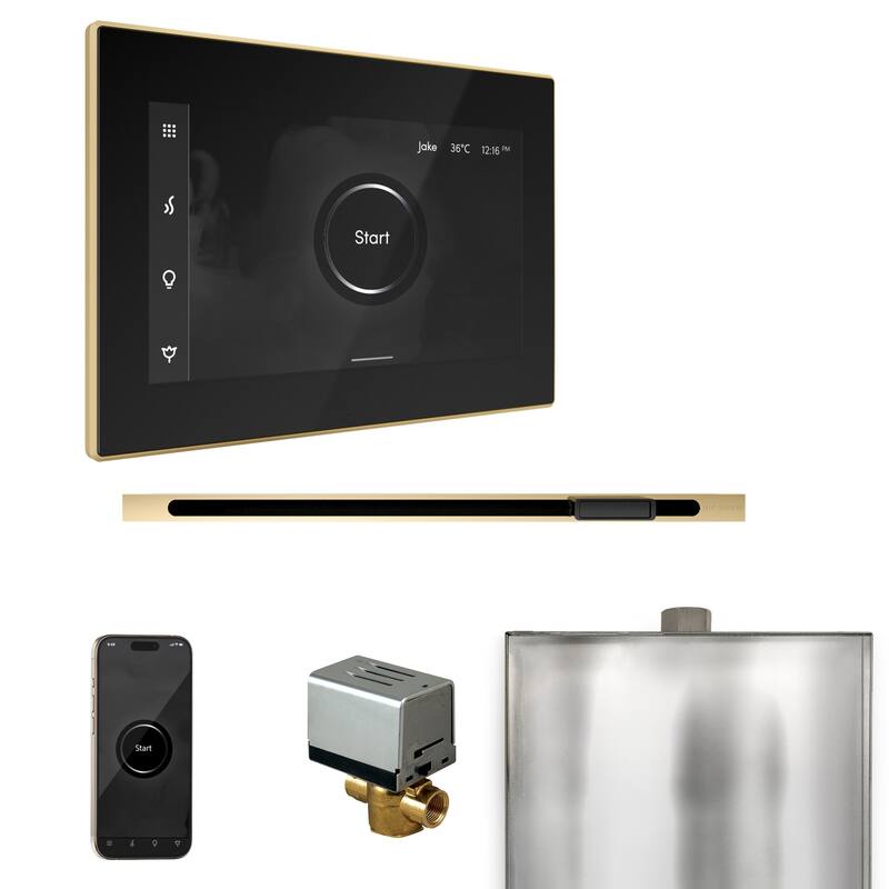 Mr Steam BXL Xbutler Linear Package Steam Shower Control Package with - Black / Polished Brass
