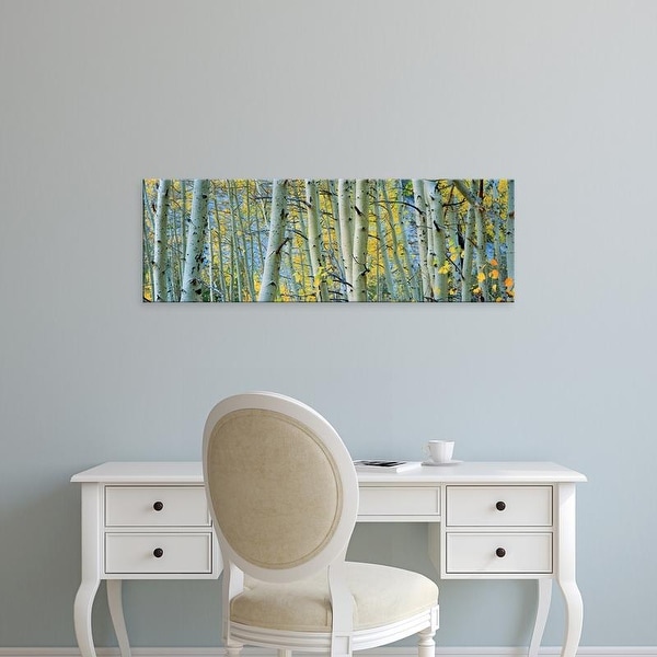 Easy Art Prints Panoramic Images's 'Aspen trees in a forest, Rock Creek Lake, California, USA' Premium Canvas Art