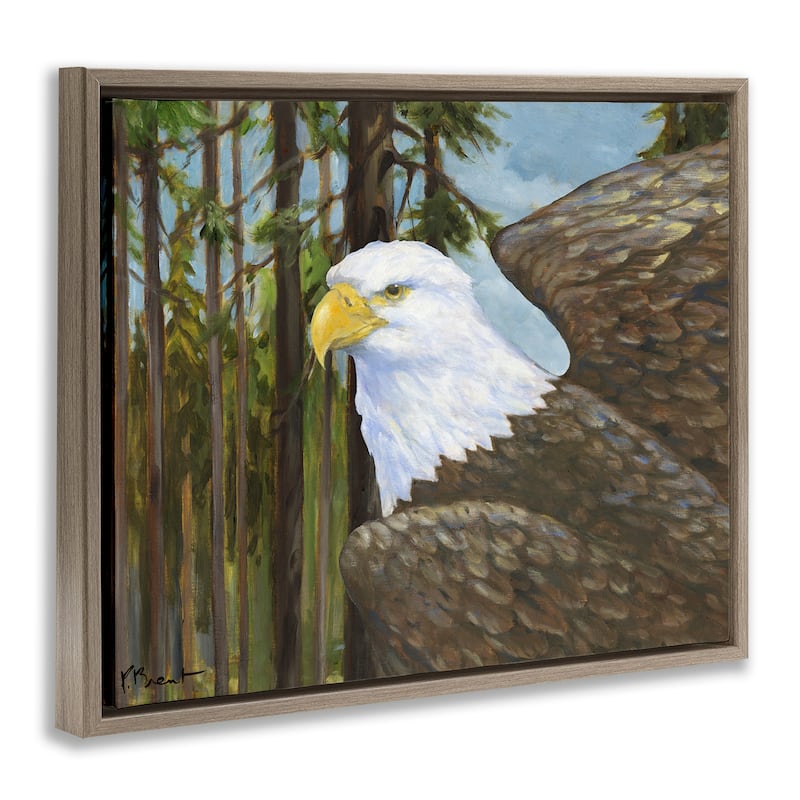 Stupell Woodland Eagle's View Framed Floater Canvas Wall Art Design By Paul Brent
