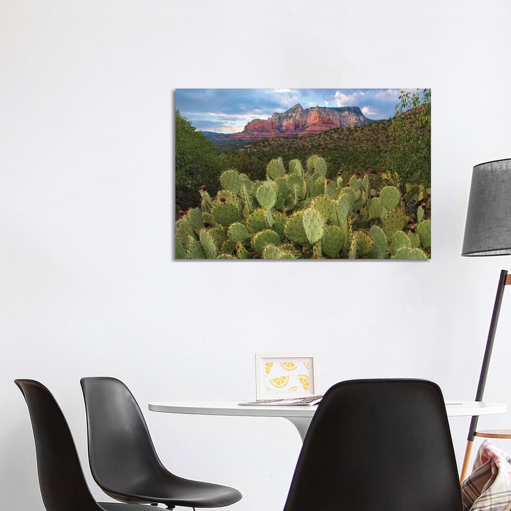 iCanvas "Opuntia Cactus And Mountain, Red Rock-Secret Mountain Wilderness, Arizona" by Tim Fitzharris Canvas Print