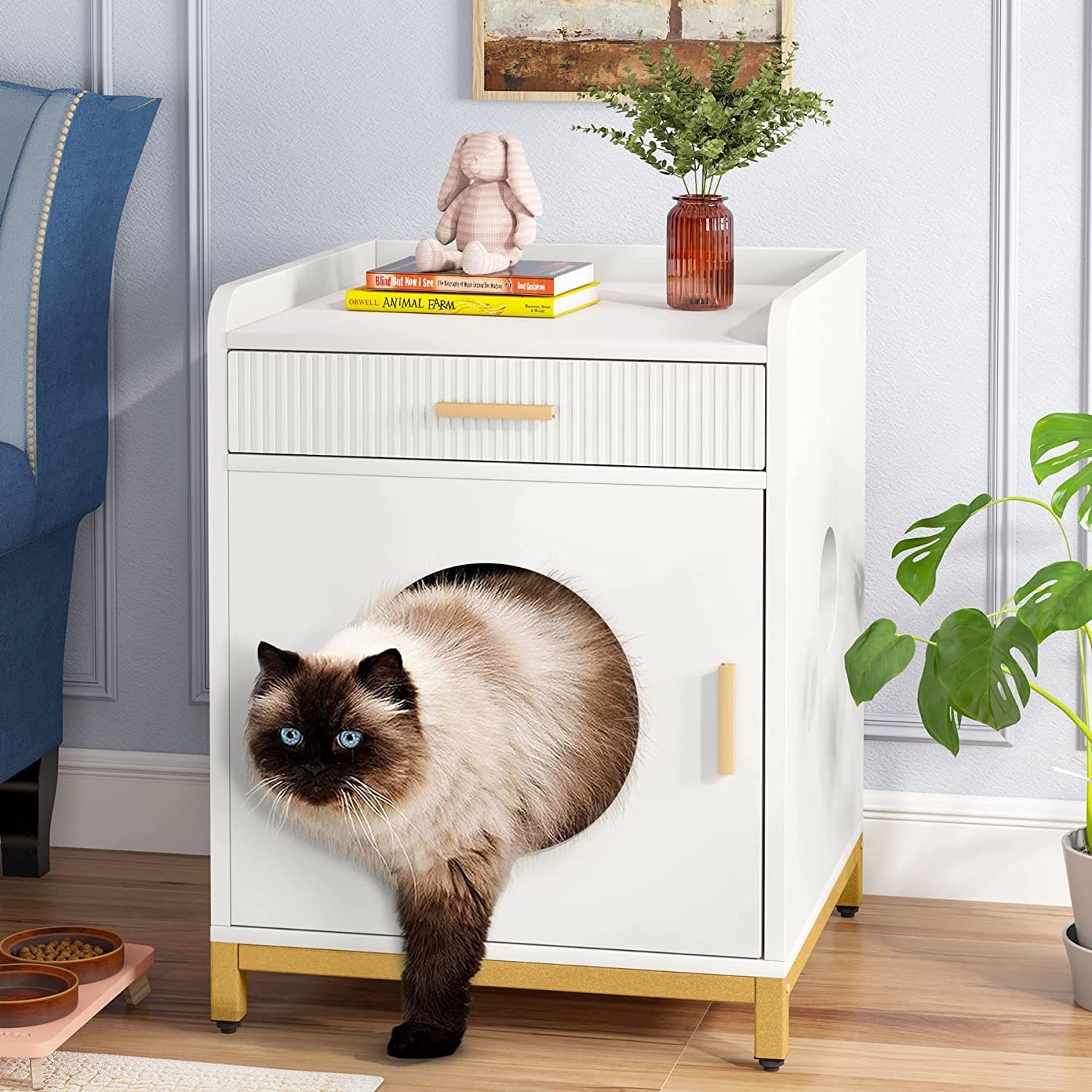 Golden white online cat litter