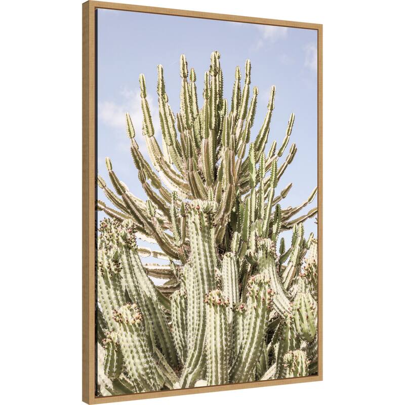 Cactus Forest by Shot by Clint Framed Canvas Wall Art Print - Sylvie Natural