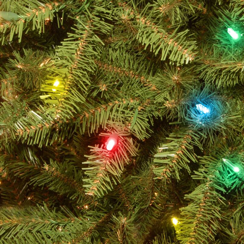 National Tree Company 7 ft. Dunhill Fir Tree with Multicolor Lights - 7 Foot