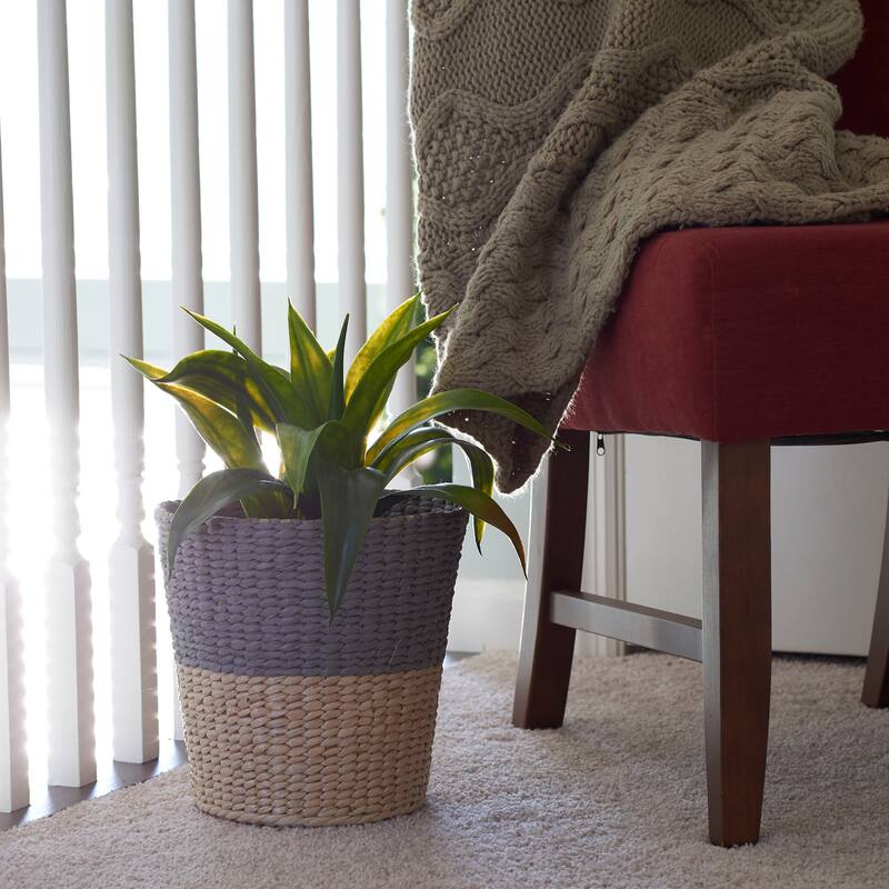 Household Essentials Cattail and Paper Two Tone Waste Basket - Color Block