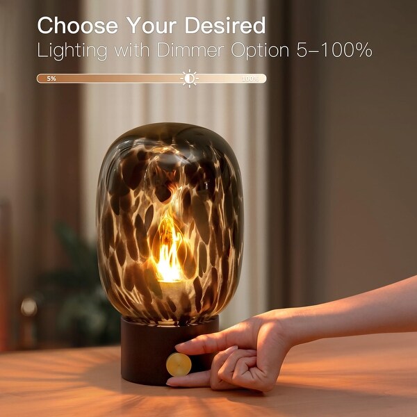 Nightstand Table Lamp Small Vintage Desk Lamp with Bulb Bedside Lamp Translucent Glass Stepless Dimmable Black