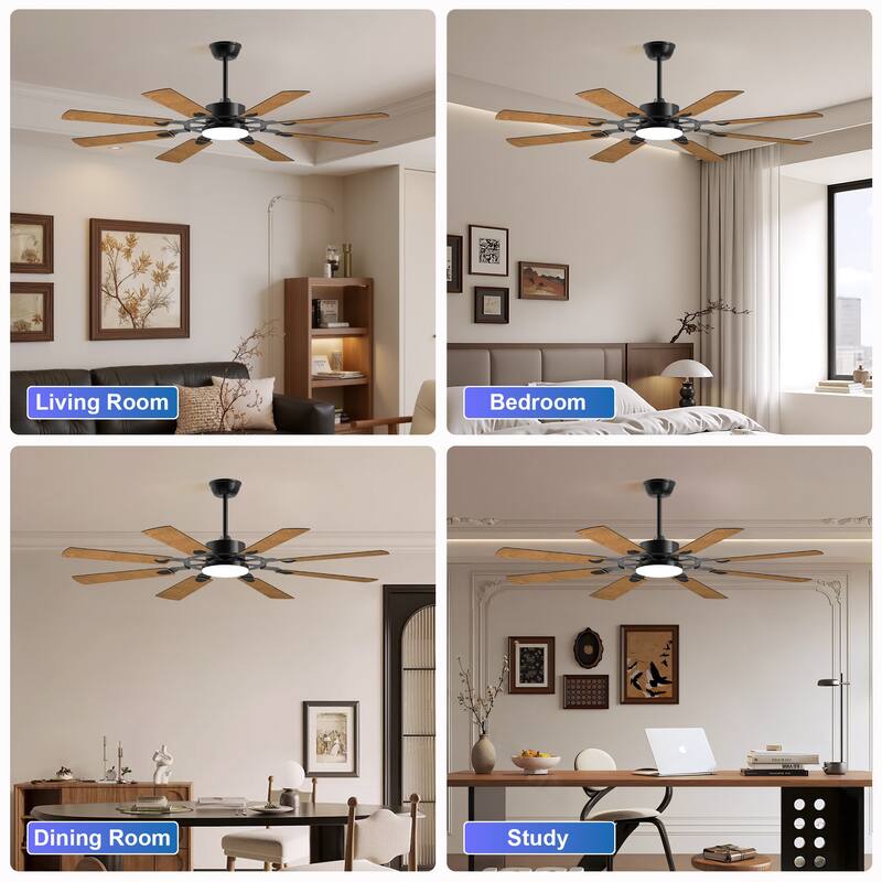 60 Inch Ceiling Fan with Lights and Remote Control, 8 Plywood Blades, 6-Speed Noiseless Reversible DC Motor, 3CCT - Black