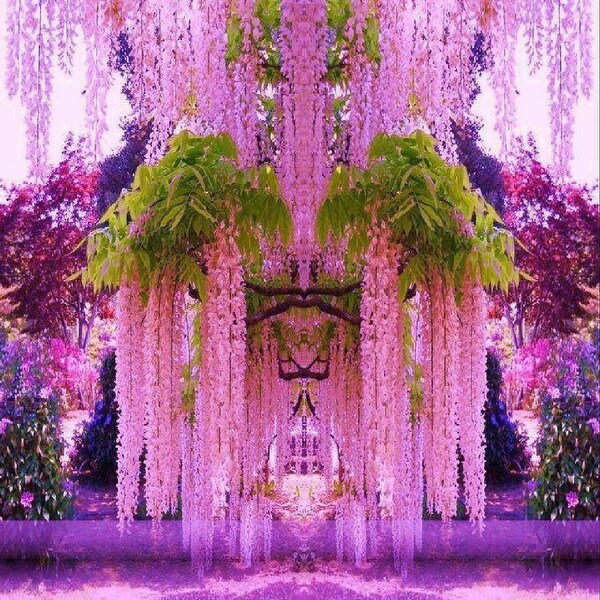 Artificial wisteria sale