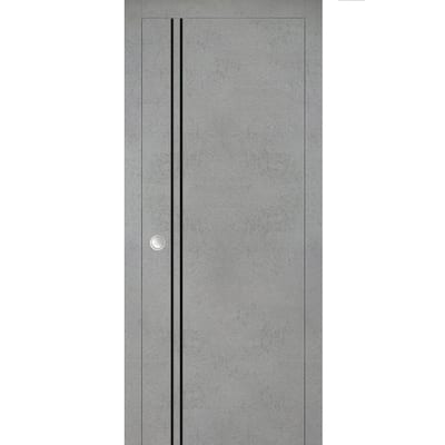 French Pocket Door 28 x 80 with Planum 0016 Concrete with Kit Trims Rail