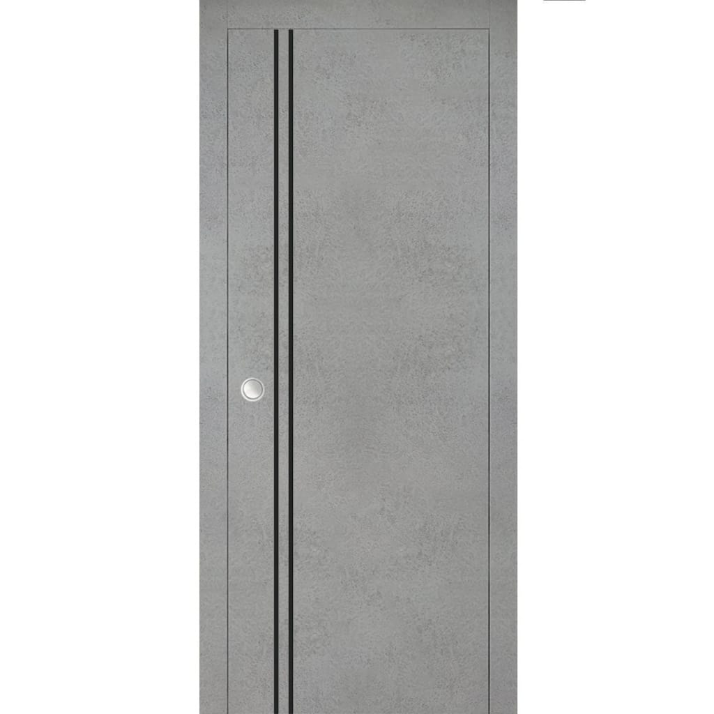 French Pocket Door 28 x 80 with Planum 0016 Concrete with Kit Trims Rail