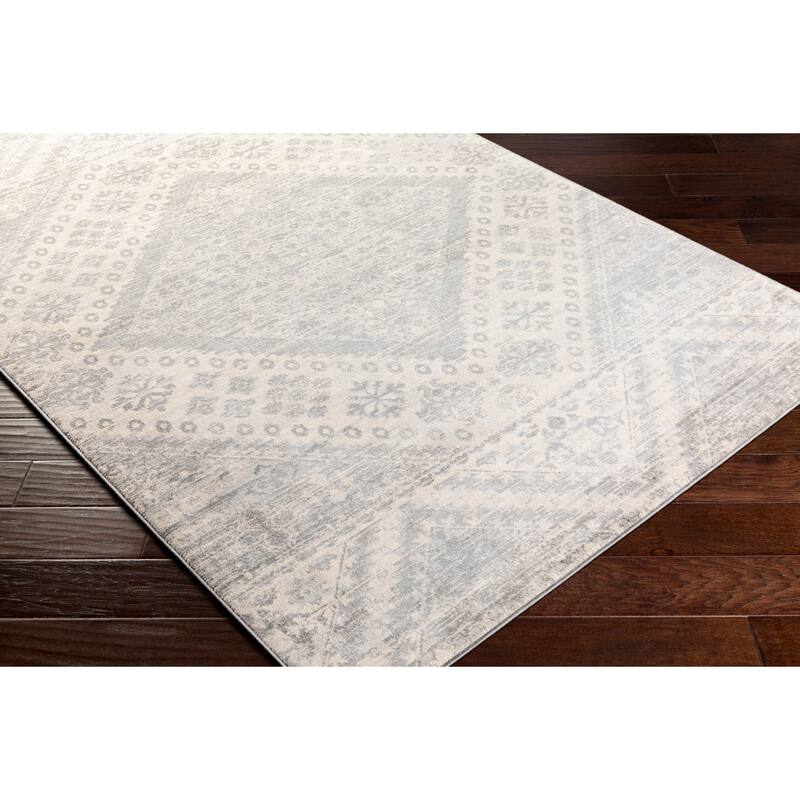 Janette Distressed Nomad Area Rug