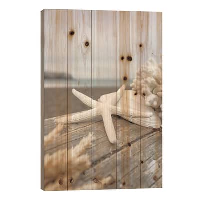 Crescent Beach Shells XIII Print On Wood by Alan Blaustein - Multi-Color