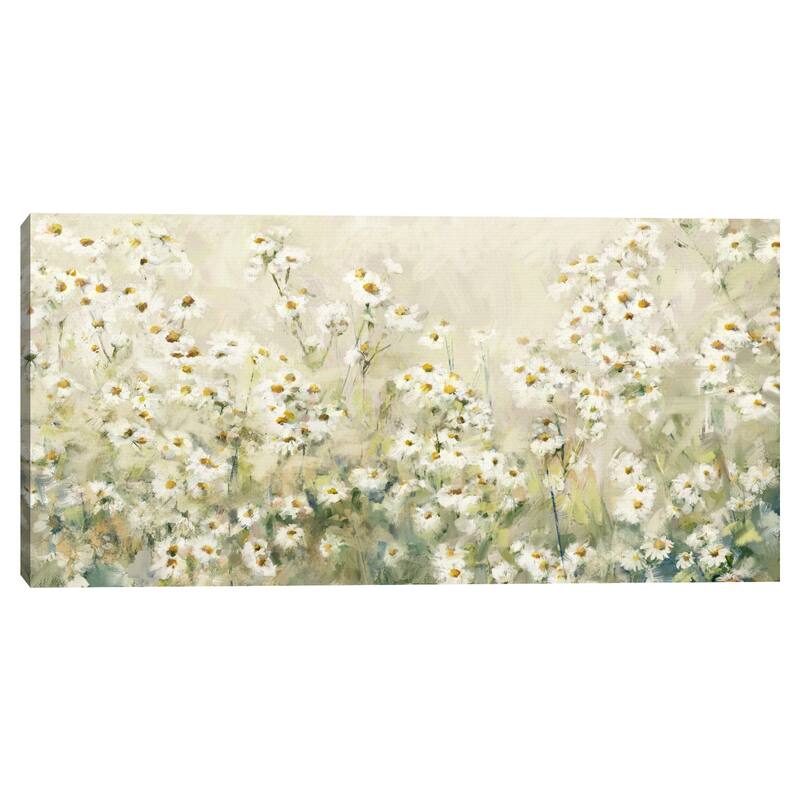 Daytime Daisies by Studio Arts Canvas Art Print
