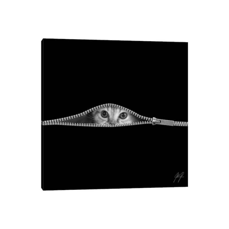 iCanvas "The Timid" by Kathrin Federer Canvas Print