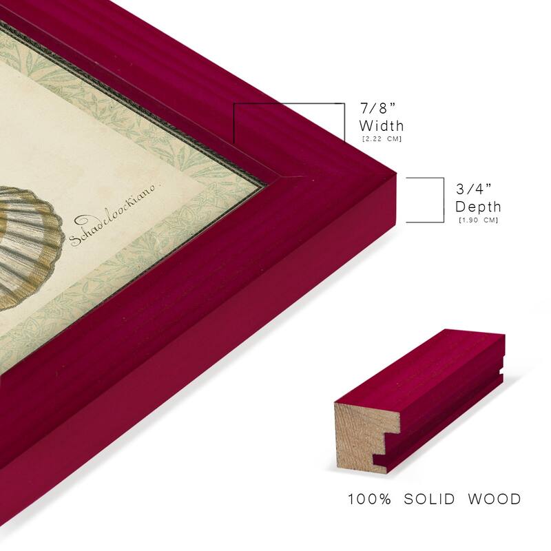 Bookplate Shells III -Framed Print w/glass-Cherry Red