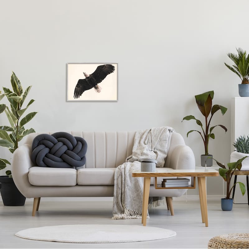 Stupell Eagle Flying Overhead Vintage Bird Sepia Tone Photography Framed Wall Art - Black
