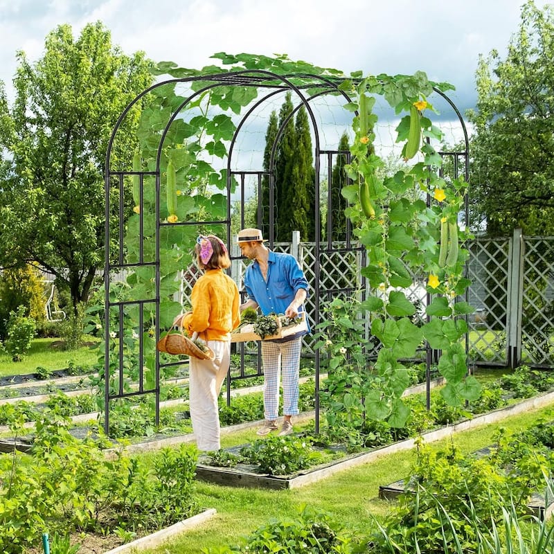 Garden Arch Trellis for Climbing Plants, Large Arch Arbor Trellis