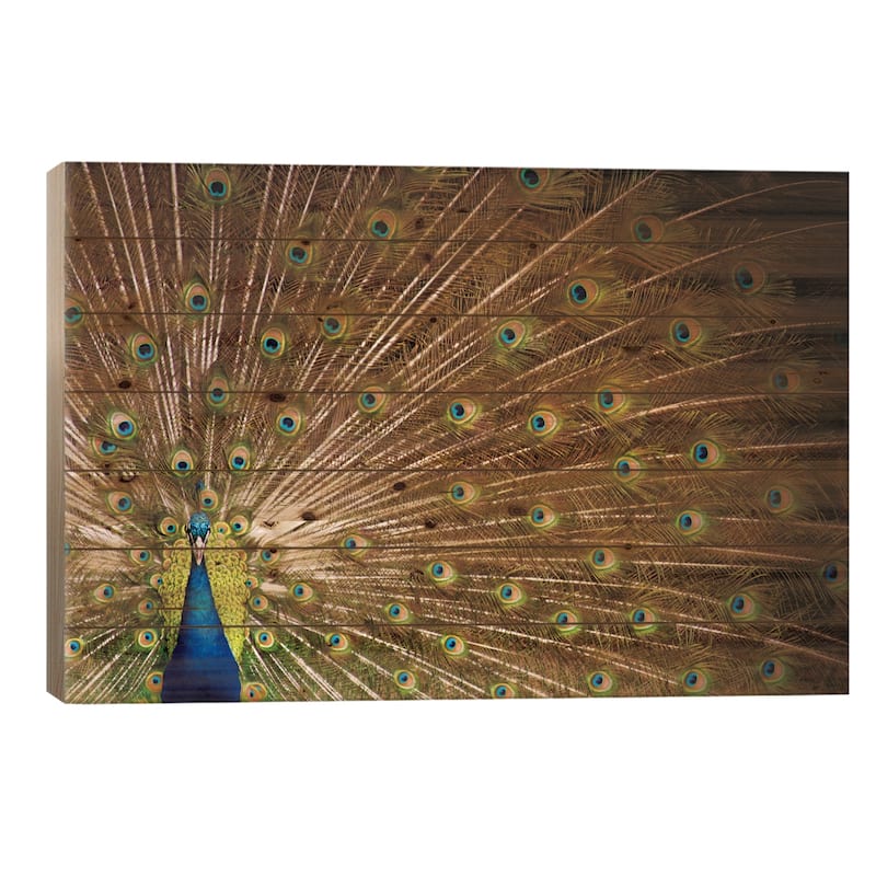 Proud as Peacocks I Print On Wood by Laura Marshall - Multi-Color - 18x26x1.5