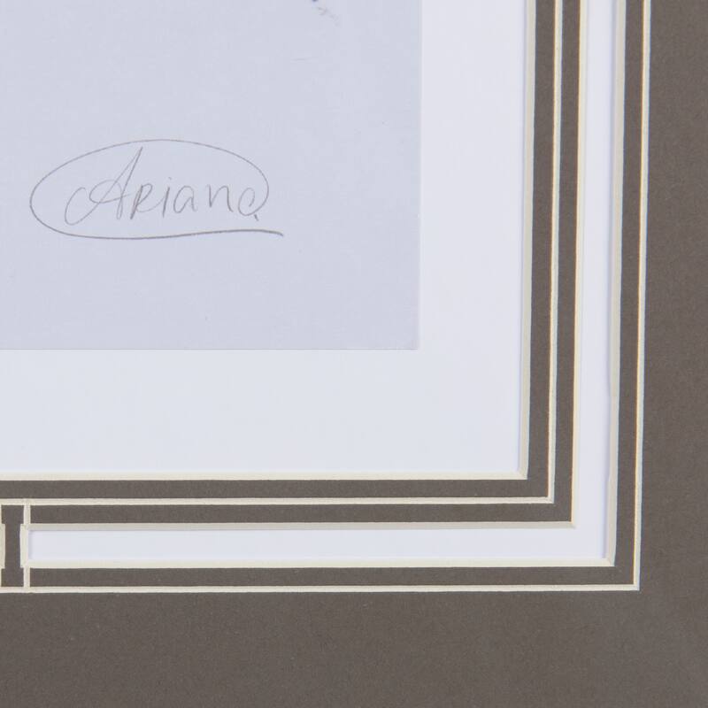 Arabian II Framed Art Print