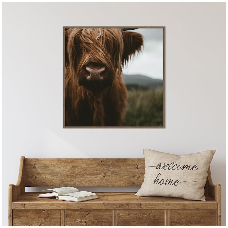 Kate and Laurel Close Up of Scottish Highland Cattle Baby SQ by Michael Schauer Framed Canvas Wall Art Print