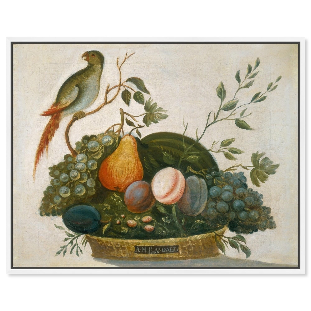 Randall Fruit with Parrot 1777 Canvas by Art Remedy