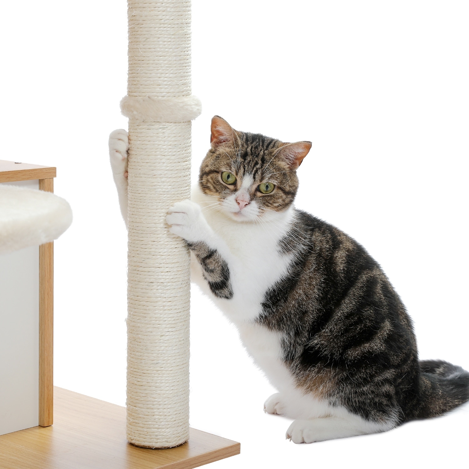 Bed bath and beyond cat tree top