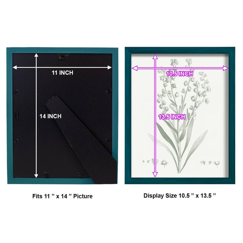 Botanical Study in Sage I -Framed Print w/glass-Cherry Red