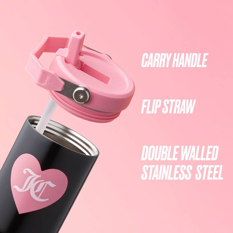 Juicy Couture Flip Flow Hydration Stainless Steel Screw Top Tumbler with Flip Straw 2-Pack