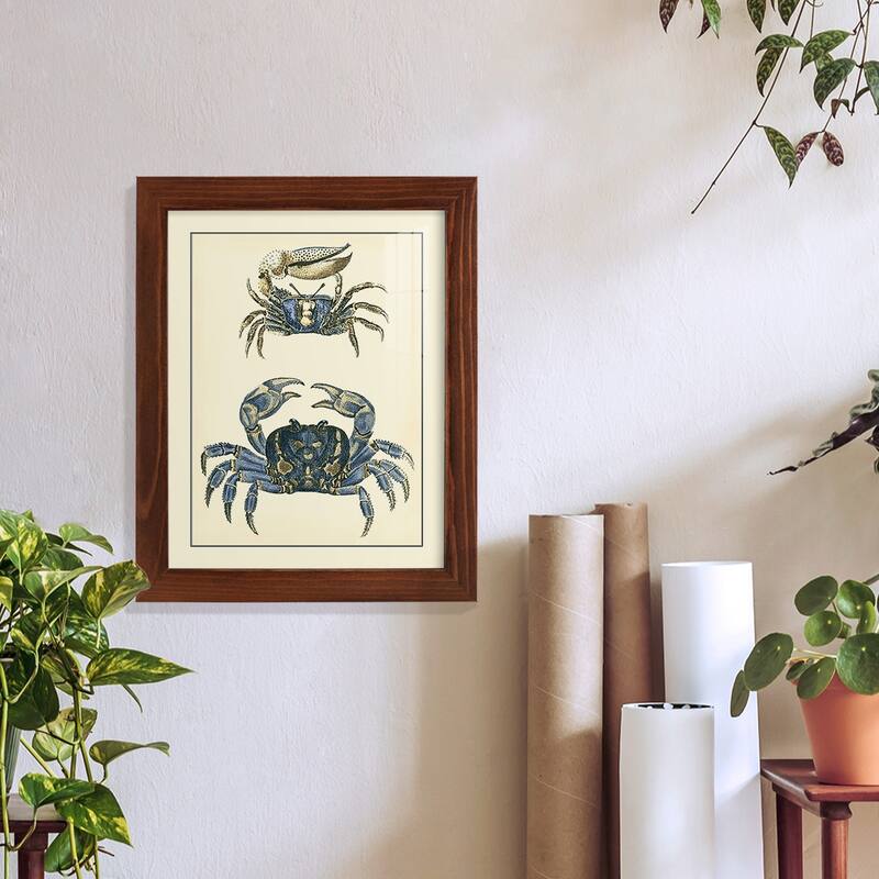 Antique Blue Crabs II -Framed Print w/glass-Cherry Red