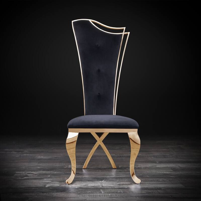 Belladonna Titanium Gold Stainless Steel Dining Chair, Set of 2