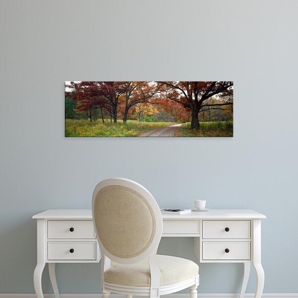 Easy Art Prints Panoramic Images's 'Dirt road passing through a forest' Premium Canvas Art