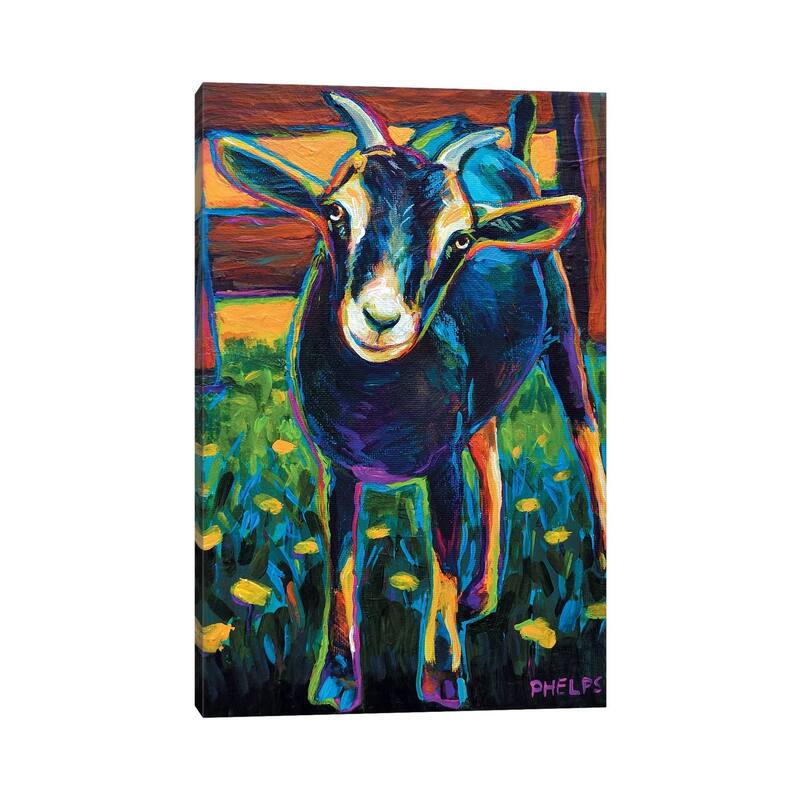 iCanvas "Black Goat" by Robert Phelps Canvas Print