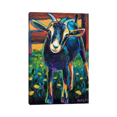 iCanvas "Black Goat" by Robert Phelps Canvas Print