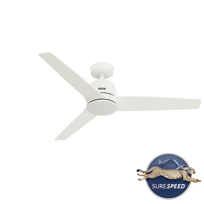 Hunter + Jasmine Roth 52" Malden Ceiling Fan and Handheld Remote - Contemporary, Modern - Designer!