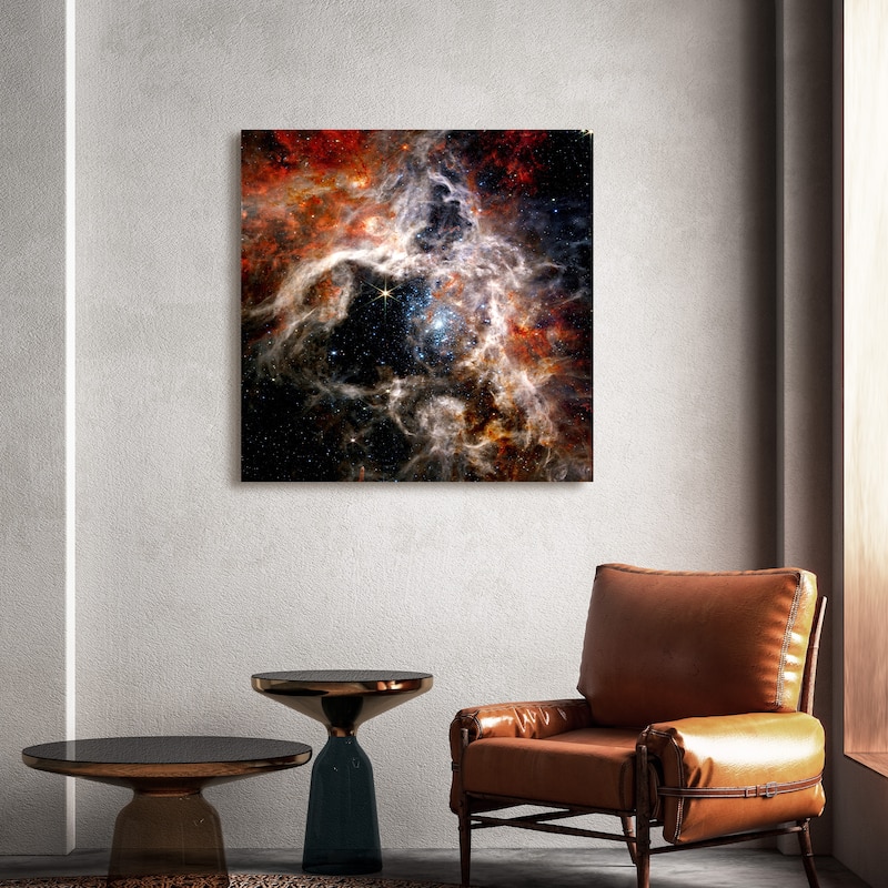 Empire Art Direct The Tarantula Nebula Printed Tempered Glass Wall Art - Multi-Color